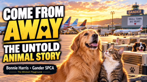 The Rescued Animal Story behind the Come From Away Musical